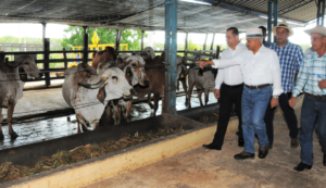 Visita Laboratorio de Biotecnología y Reproducción Animal del CEAGANA en San Pedro de Macorís