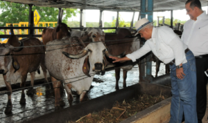 Visita Laboratorio de Biotecnología y Reproducción Animal del CEAGANA en San Pedro de Macorís