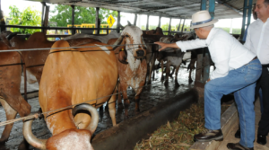 Visita Laboratorio de Biotecnología y Reproducción Animal del CEAGANA en San Pedro de Macorís